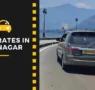 Srinagar Taxi Rates 95x90