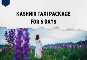 Kashmir taxi package for 5 days