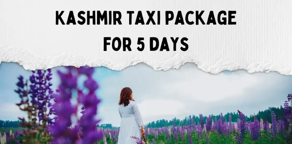 Kashmir taxi package for 5 days